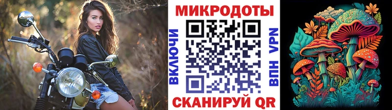 Купить где  Ужур  Псилоцибиновые грибы Psilocybe 